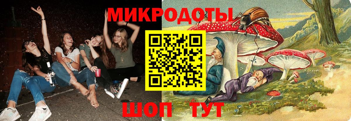 Галлюциногенные грибы Psilocybe Рыбинск